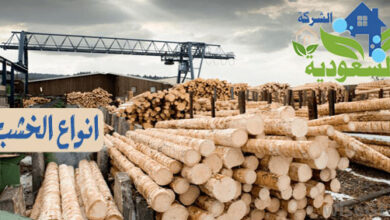 Photo of انواع الخشب واسعاره 2023 الخشب الطبيعي والخشب الصناعي